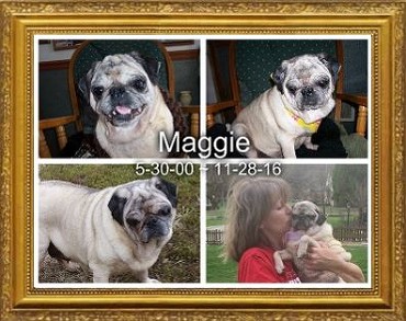 Maggie Levay 2000-2016